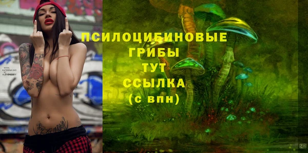 метадон Арсеньев