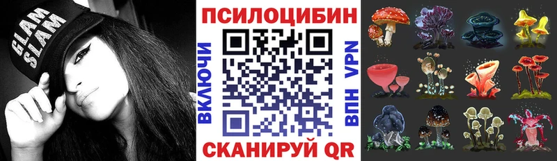 Галлюциногенные грибы прущие грибы  Чернушка 