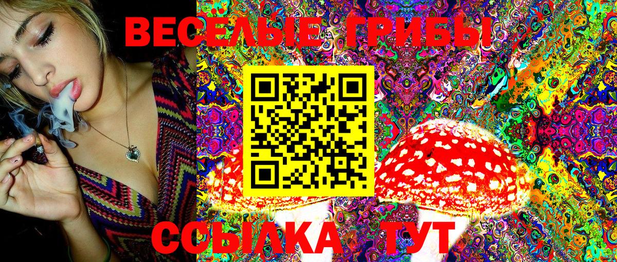 Галлюциногенные грибы GOLDEN TEACHER Чернушка