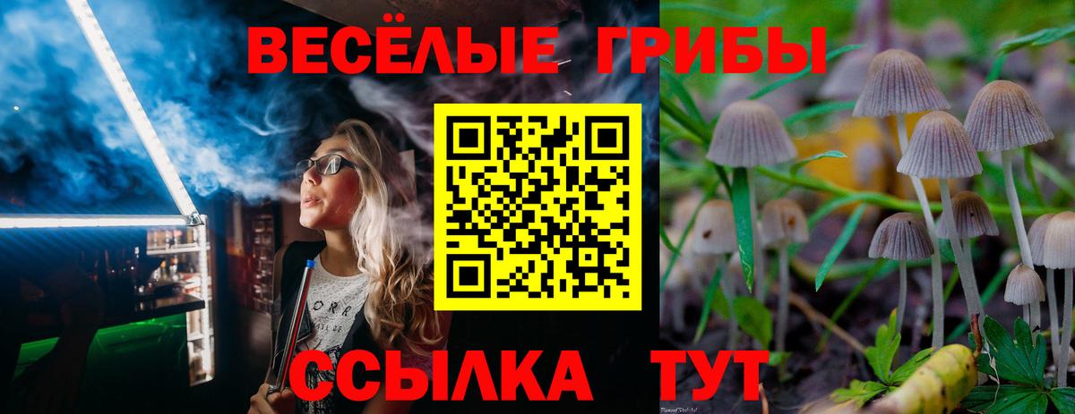 Галлюциногенные грибы Psilocybine cubensis  Вход с VPN  Чернушка 