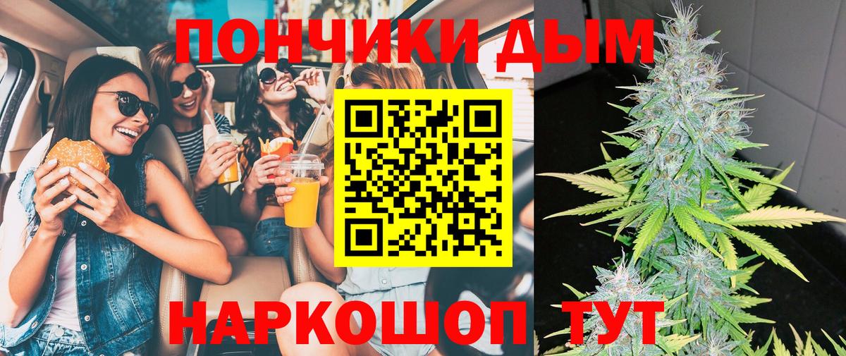 Марихуана сатива  Канабис планчик  Чернушка  Вход с VPN 
